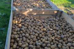 e6f8d0b6-f7ae-4eca-ace6-aa6397c1b74c