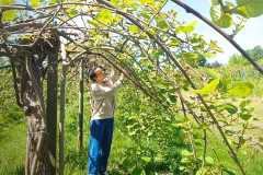 ca3bf283-cd6c-464f-8a33-f19c2cc8a708